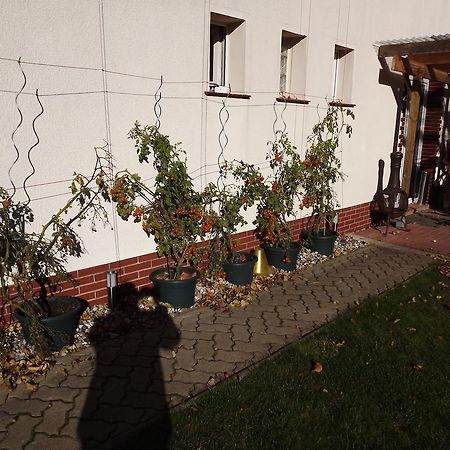 Pension Regenbogen Stralsund Dış mekan fotoğraf
