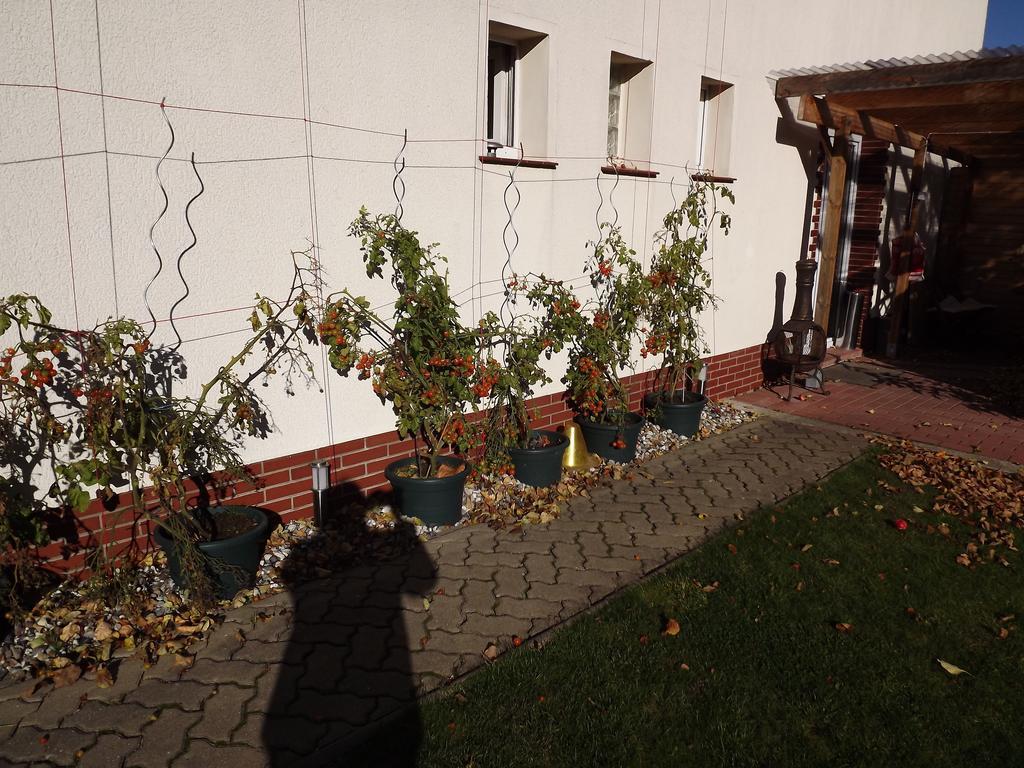 Pension Regenbogen Stralsund Dış mekan fotoğraf